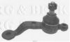 BORG & BECK BBJ5513 Ball Joint